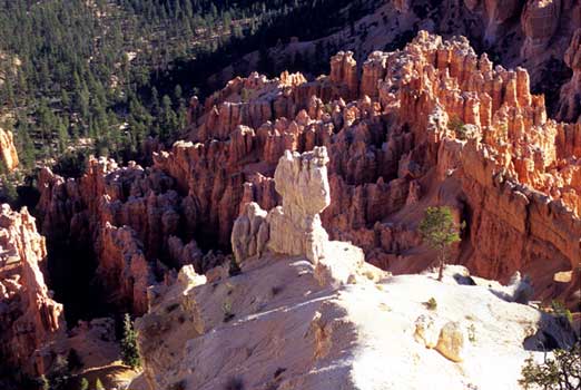 fine_art_photography_images_bryce_canyon_sf_3.13