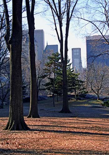 fine_art_photography_images_nyc_file_67_30