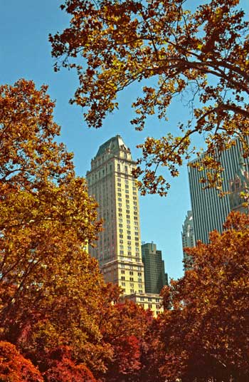 fine_art_photography_images_nyc_file_79_12